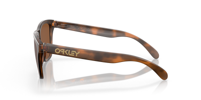 Oakley Frogskins Sunglasses - Brown Tort/Brown Smoke w/Prism Tungsten