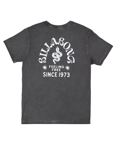 Billabong Mens Big Wave Shaz T-Shirt - Black