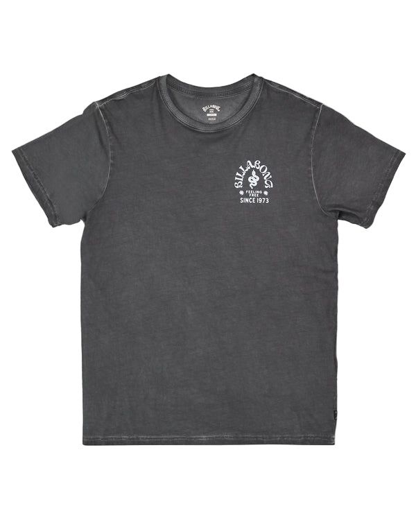 Billabong Mens Big Wave Shaz T-Shirt - Black