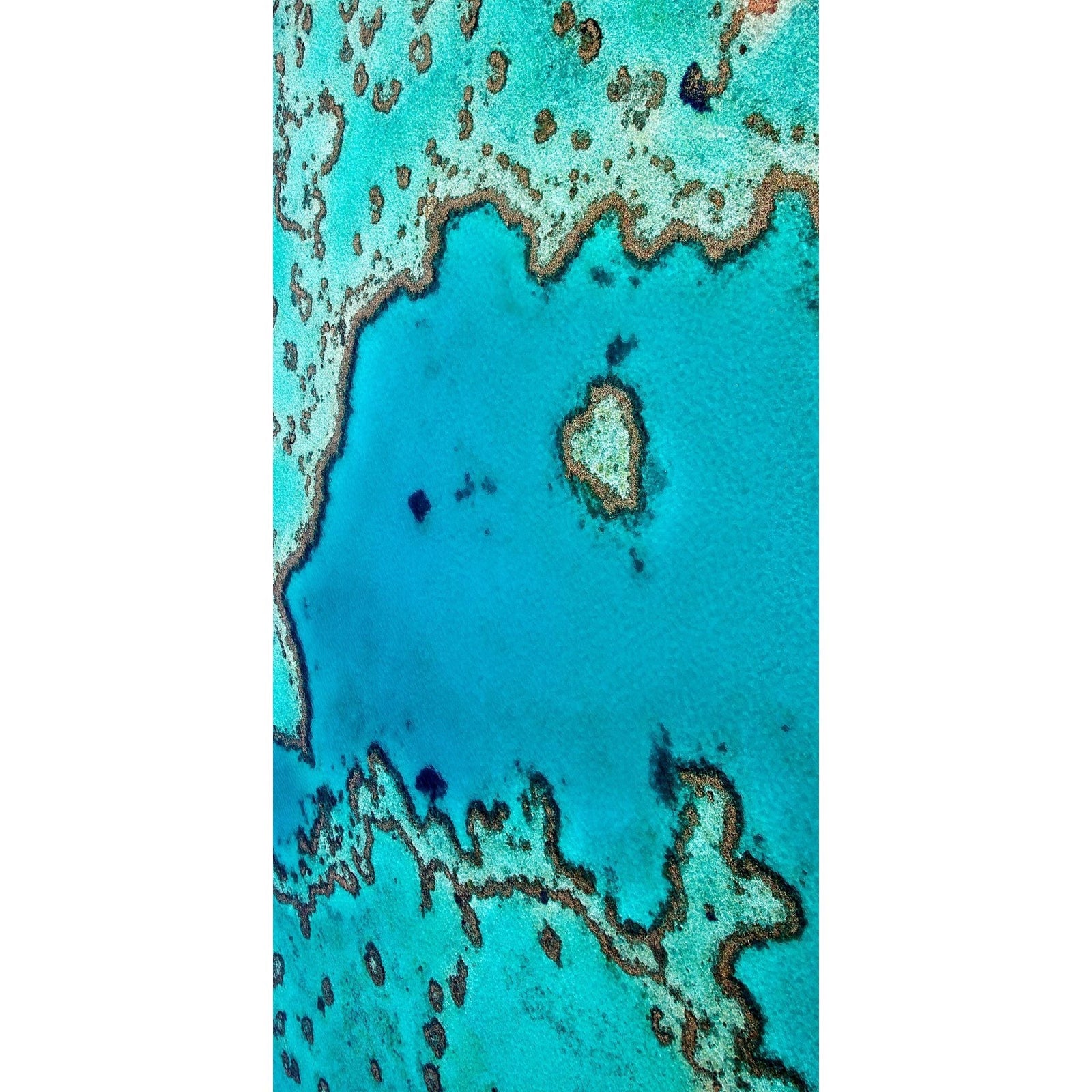 Destination Towels - Reef Love