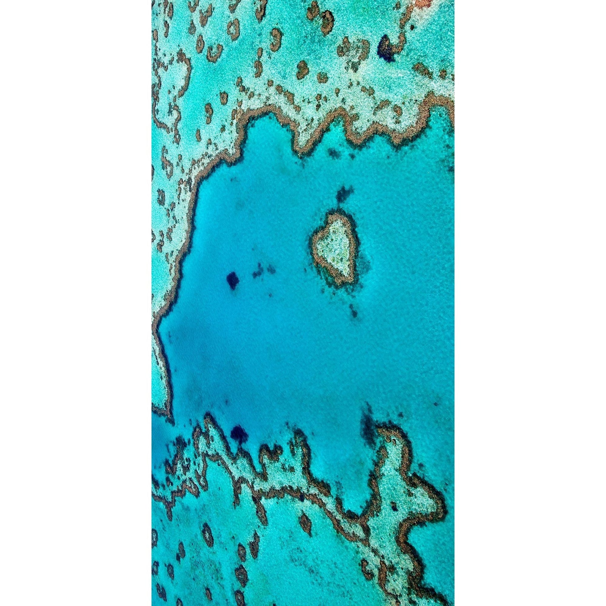 Destination Towels - Reef Love