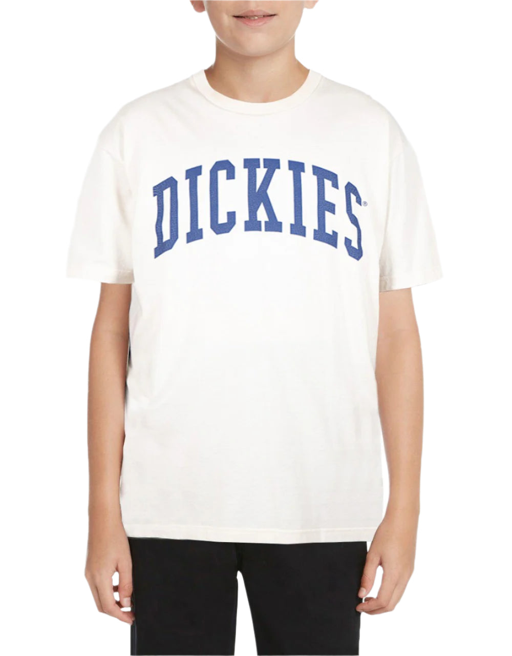 Dickies Kosse Tee Youth - Bone