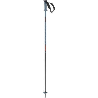 Salomon Polar Pro Poles Mens - Copen Blue
