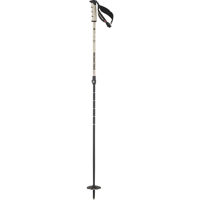 Salomon Steep Vario S3 Adjustable Pole - Rainy Day