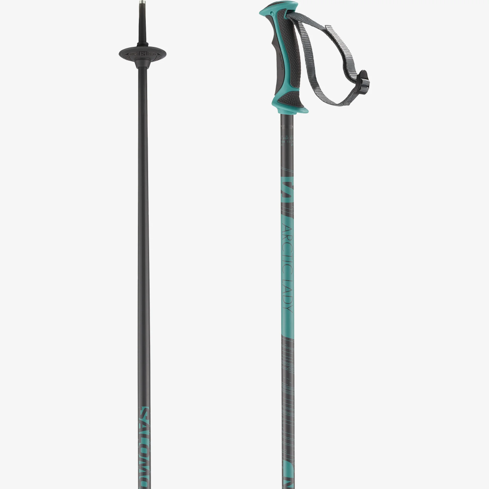 Salomon arctic ski online pole