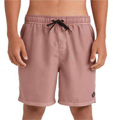 Billabong All Day OD Boardshort Mens - Dusty Rose