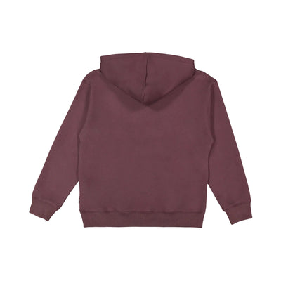 VOLCOM Boys Watanite Pullover Hoodie - Maroon