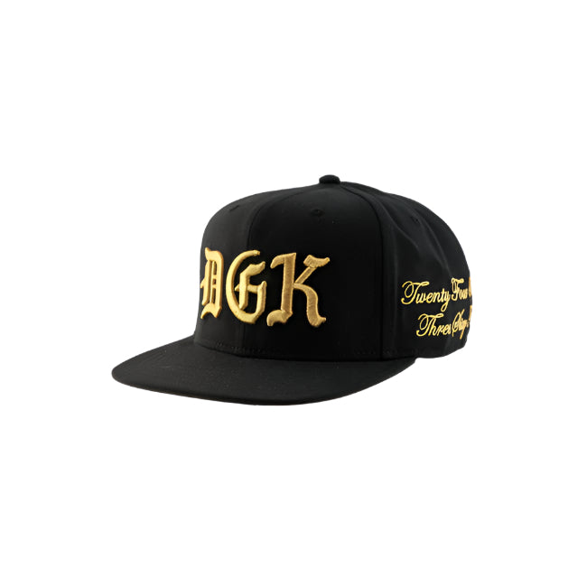 DGK Statement adjustable cap - Black