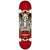 BIRDHOUSE Tony Hawk Icon L1 skateboard - Red - 8.0