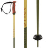 Volkl Phantastick 18mm Poles - Green