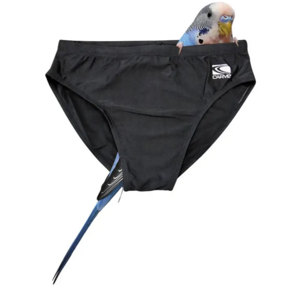 CARVE Budgie Racer swimsuit - Mens - Navy