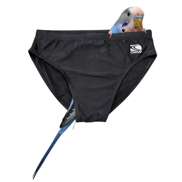 CARVE Budgie Racer swimsuit - Boys - Black